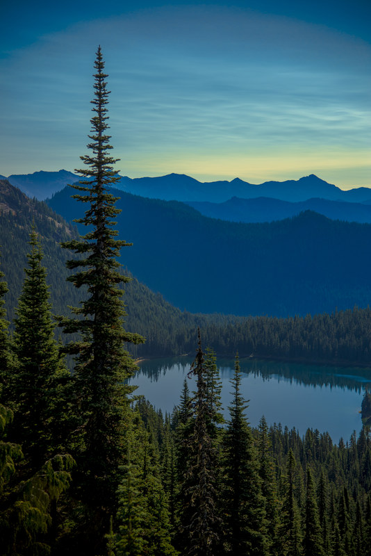 A single tall pine standing above an alpine lake with layered blue mountain ridgelines at dusk